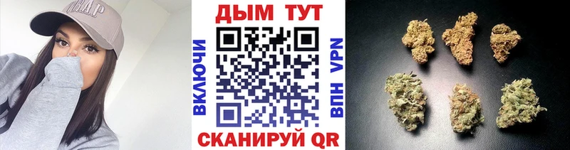 Продажа наркотиков Кемь Каннабис  A-PVP  ОМГ ОМГ сайт  Мефедрон  КОКАИН  ГАШ 