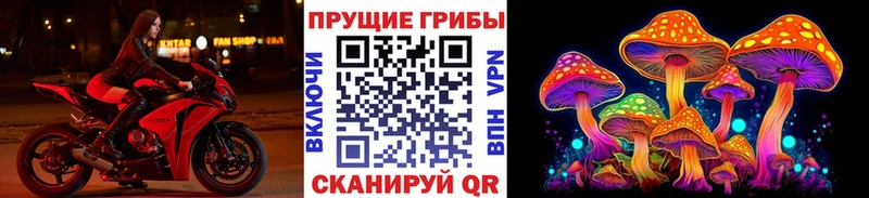 Галлюциногенные грибы ЛСД  это состав  Кемь 